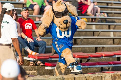The Art of Being a Mascot: Inside the Life of the Charlotte Mascot Performer